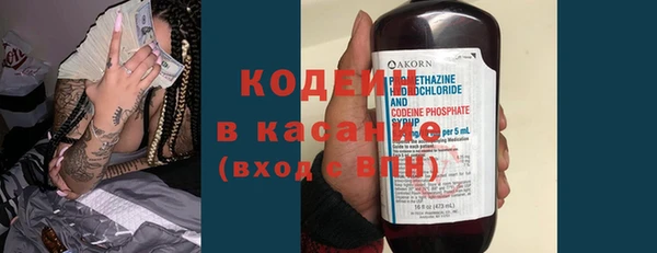 прущие грибы Ветлуга