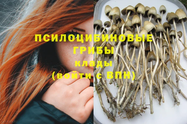 a pvp Покров