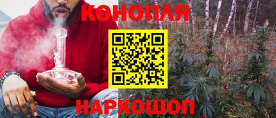 ешки Аргун