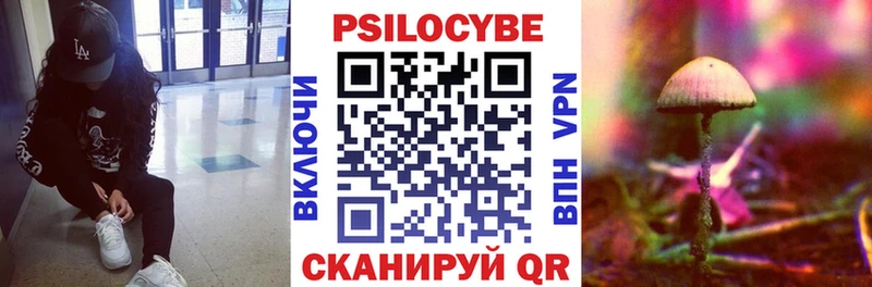 закладки  Ахтубинск  Галлюциногенные грибы Magic Shrooms 