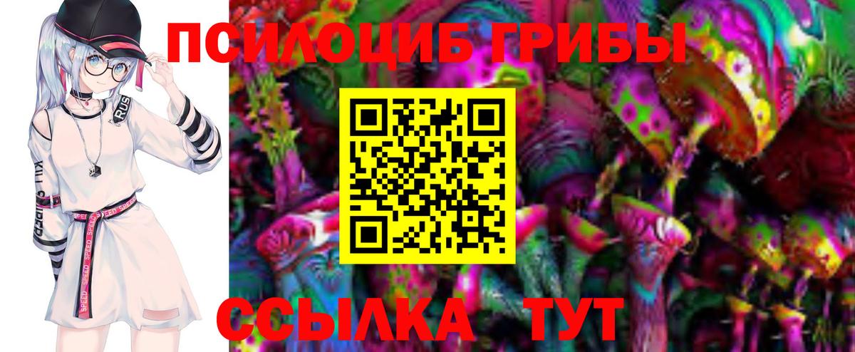 Ахтубинск  Галлюциногенные грибы Magic Shrooms  купить   Галлюциногенные грибы Psilocybe  Вход с VPN 