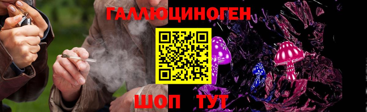 Псилоцибиновые грибы Psilocybe  Псилоцибиновые грибы MAGIC MUSHROOMS  Ахтубинск 